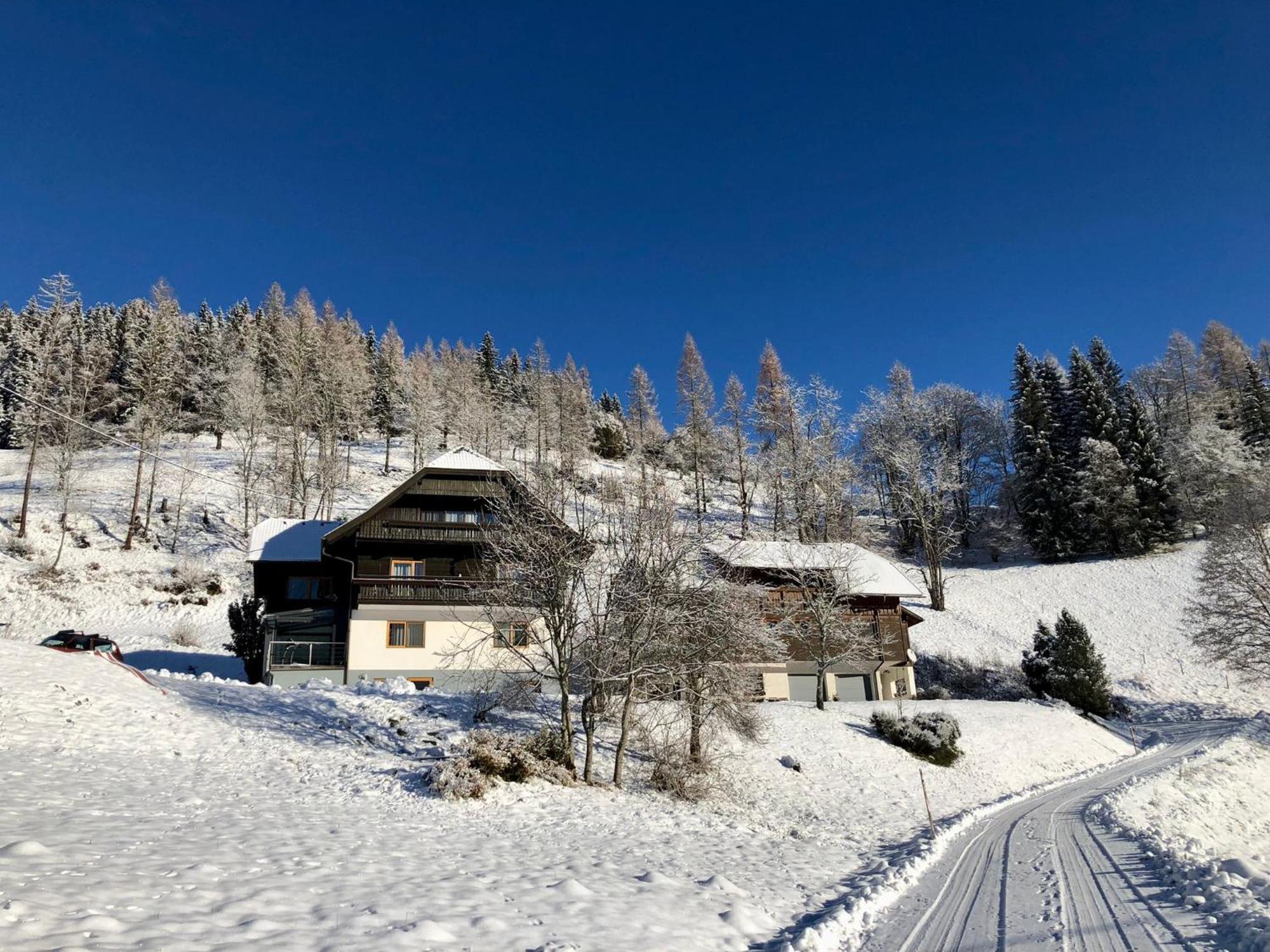 Appartement Vidmar-Wintertraum Arriach المظهر الخارجي الصورة